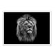 thumbnail image 1 of Cuadro León Negro con Marco Blanco, 1 of 1