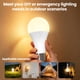 thumbnail image 5 of Bombilla LED Recargable KINDEEP E26 RGB con Control Remoto, 5 of 9