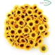 thumbnail image 4 of 100 cabezas de girasol artificiales de seda, girasol amarillo falso para decoración del hogar, jardín, oficina, boda, fiesta, ramo de Navidad (diámetro: 7 cm), 4 of 6