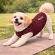 thumbnail image 4 of Playera sin mangas para perro Pet Life Active Aero-Pawlse jaspeada, 4 of 8