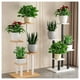thumbnail image 5 of Estante para Plantas de Madera Soporte Decorativo Multiuso blanco, 5 of 6