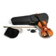 thumbnail image 1 of Violin De 4/4 Gewa PS401.621, 1 of 2
