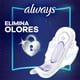 thumbnail image 5 of Toallas Higiénicas Ultrafina Nocturna Largas, 16 un, 5 of 5
