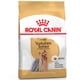 thumbnail image 1 of Yorkshire Terrier Adult 2,5kg, 1 of 2