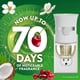 thumbnail image 2 of Recambio de aceite perfumado Air Wick Plug In, 2 unidades, Paradise Retreat, 2 of 8