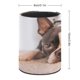 thumbnail image 2 of Boston Terrier-theme Cylinder Pen Holder Pencil Organizer with Flannel Lining PVC Leather Material Cardboard Base for study work 10*8CM, 2 of 6