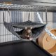 thumbnail image 5 of Hamaca Niteangel de Lujo Doble para 2 Hurones o 5 Ratas, 5 of 7