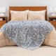 thumbnail image 4 of Manta de felpa Berkshire Blanket Peanuts® VelvetLoft® Snoopy, 4 of 8