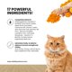 thumbnail image 2 of Suplemento Vitality Science Celloquent Gold para Gatos 120 g, 2 of 5