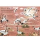 thumbnail image 3 of El gran libro de las aves blanco, 3 of 4