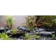 thumbnail image 3 of VIVARIUM Small World Pizarra y Piedra 13‑18 cm 4,5 kg, 3 of 8