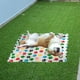 thumbnail image 3 of Set 3 Mantas Termicas Para Mascotas Perros Gatos Suave Lau, 3 of 3