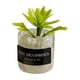 thumbnail image 2 of Mini Juguetes Para Casa De Mu?ecas Modelo De Paisaje Estático Modelado Mini Plantas Artificiales Estilo D, 2 of 5