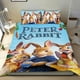 thumbnail image 1 of Peter Rabbit Conjunto de sábanas temático, trío de piezas, cómodo y amigable con la piel, diseño único, regalo de decoración para el hogar para familiares, amigos y fans,135cm *200cm, 1 of 6