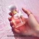 thumbnail image 4 of Perfume Cacharel Ella Ella Eau De Parfum para mujer, 50 ml, juego de 2 unidades, 4 of 7
