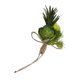 thumbnail image 2 of Ceremonia De Boda Novia Nupcial Flor Suculenta Boutonniere Corsage 2, 2 of 3