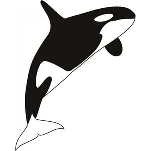 Rienda Libre Graphics - Decomural Killer Whale Sea Animals Ws-18860