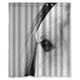 thumbnail image 1 of Cortina de ducha con diseño de caballo Eye Of Peace B, con ganchos, tamaño 60 x 72 pulgadas, 1 of 3