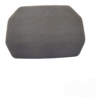 Genérico - Filtro De Aire Motorrad Express 100 Original