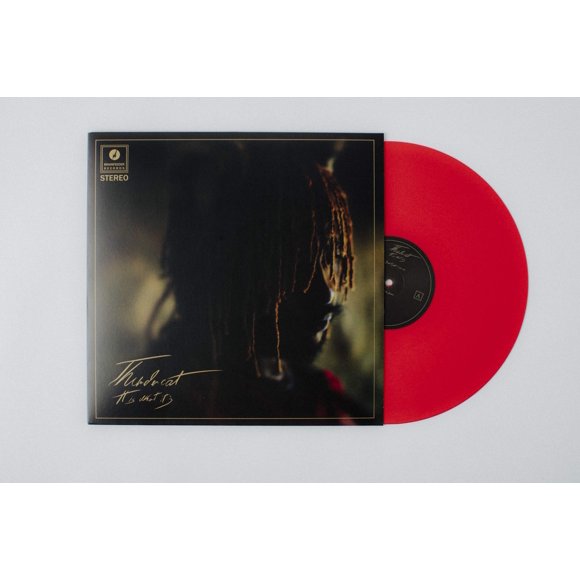 Vinilo Brainfeeder – It Is What It Is