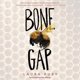 thumbnail image 1 of Libro HarperCollins – Bone Gap, 1 of 1