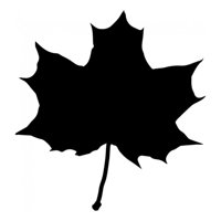 Rienda Libre Graphics - Decomural Maple Leaf Pack Ws-33274