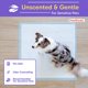 thumbnail image 2 of Alfombrillas para entrenamiento PETSWORLD 91 cm x 91 cm, 100 unidades, 2 of 7