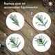 thumbnail image 5 of Arbol De Navidad Nevado 210cm Frondoso Jardimex, 5 of 7
