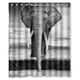 thumbnail image 1 of Cortina de ducha con diseño de elefante africano, estilo antiguo y fondo oscuro, juego de cortina de baño con ganchos, tamaño 36 x 72 pulgadas, 1 of 3