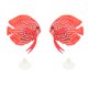 thumbnail image 5 of Simulación Luminosa Peces Acuario Resplandor Decoración Peces Artificiales Rojo, 5 of 5