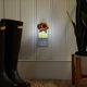 thumbnail image 5 of Difusor Yankee Candle Sunflowers ScentPlug ajustable, 5 of 6