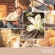 thumbnail image 3 of Vela aromática, 3 of 3