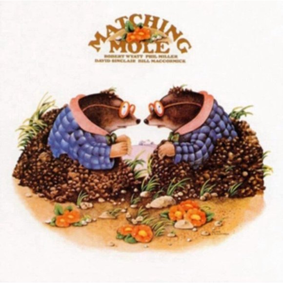 Vinilo LP Klimt Matching Mole blanco 314 mm 267 g