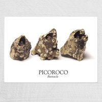 Andes1 - Tabla De Cortar Chica Picoroco