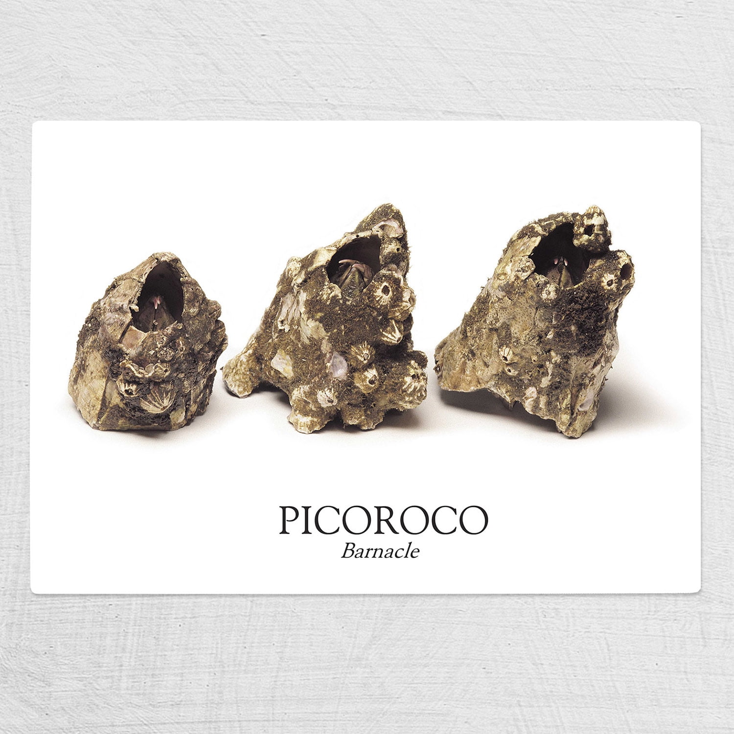 Andes1 - Tabla De Cortar Chica Picoroco