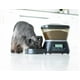 thumbnail image 1 of Dispensador De Alimentos Para Mascotas Automático negro, 1 of 5
