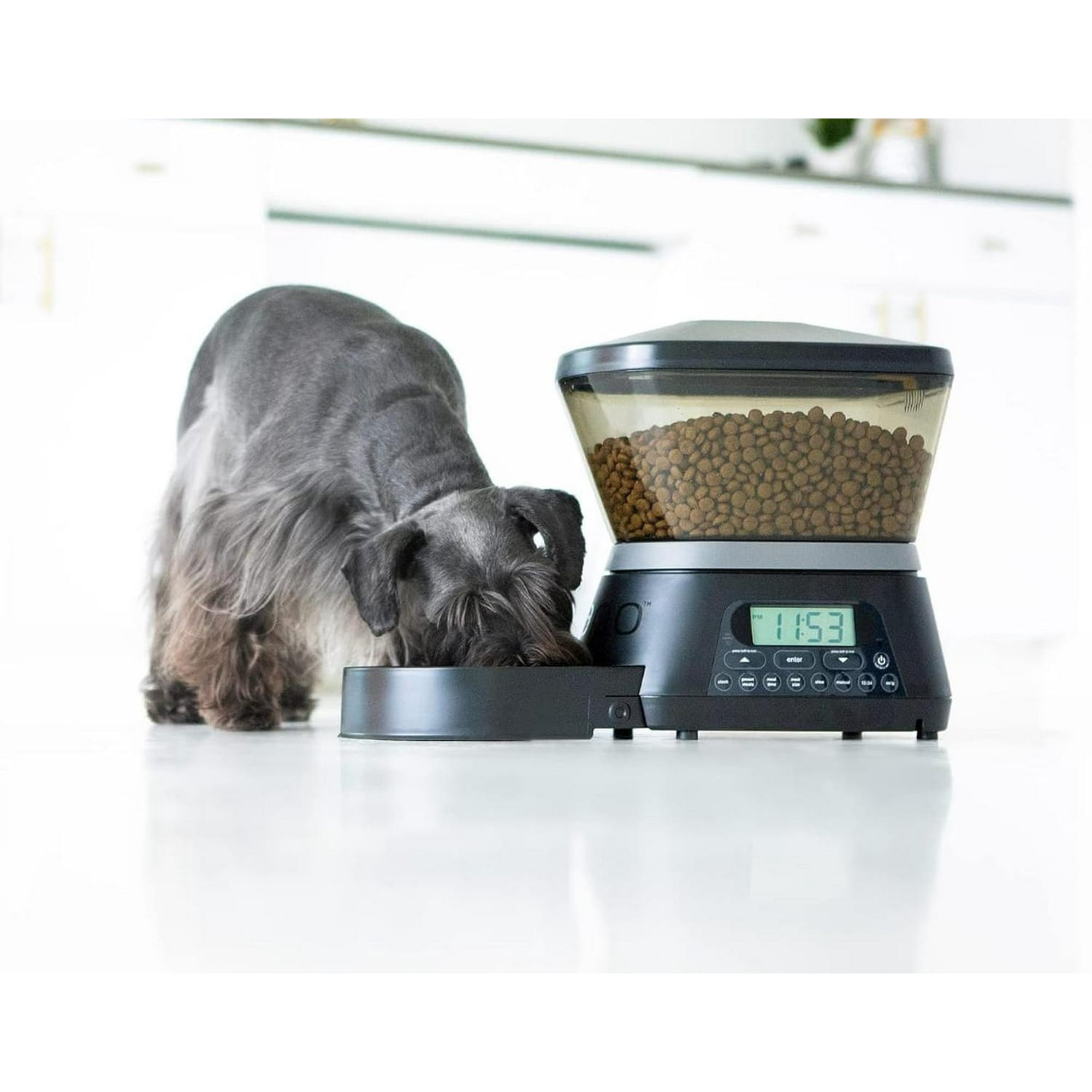 Genérico - Dispensador De Alimentos Para Mascotas Automático Negro