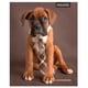 thumbnail image 2 of Cuaderno Universitario Animales Adorables 7mm 100 Hojas / Producto surtido, 1 Un, 2 of 12