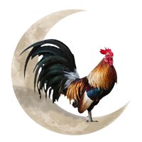 Magideal - Creativo Gallo Metal Pared Arte Escultura Adorno Colgante Cartel Colgante Ilustraciones Para Cocina Patio Exterior Decoración Para Hogar 30 Centimetros