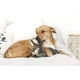 thumbnail image 2 of Peluche para perros Fluff & Tuff Walter Wabbit 30 cm, 2 of 2