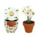 thumbnail image 2 of Set de 12 minimacetas de terracota Planter BUZZY Daydream, 2 of 5