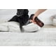 thumbnail image 3 of Eliminador de manchas y olores The Spruce Pet, una enzima B derivada de plantas, 3 of 3