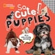 thumbnail image 1 of Libro National Geographic ¡Qué tierno! Cachorros, 1 of 1