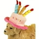 thumbnail image 1 of Gorro De Cumpleaños Para Gatos, Perros, Mascotas, color rosado, 1 of 3