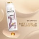 thumbnail image 2 of Shampoo Pantene Nutritivo Pro-V Miracles Colágeno Nutre & Revitaliza, 510 ml, 2 of 6