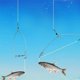 thumbnail image 4 of Dispositivo de pesca automático LLDYNW Speed Hook con resorte, 4 of 7