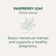 thumbnail image 4 of Té de hierbas Traditional Medicinals, hoja de frambuesa, 48 bolsas, 4 of 8
