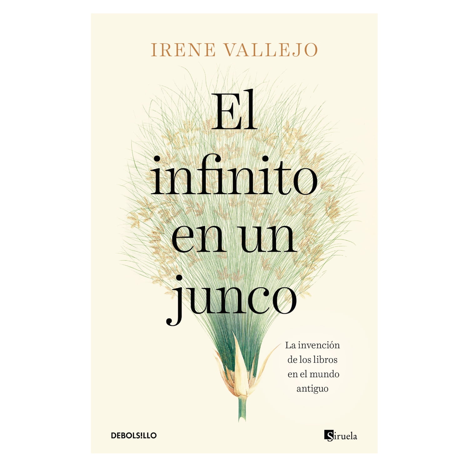 Debols!llo - Libro Infinito En Un Junco --- Irene Vallejo