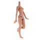 thumbnail image 5 of 19-articulaciones partes del cuerpo desnudas para 1/6 mu?eca neo blythe uso personalizado trigo, 5 of 5