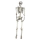 thumbnail image 5 of Calavera De Esqueleto De Simulación De 185 Cm Chic Para Fiestas Temáticas De Porche De Casa Embrujada, 5 of 5